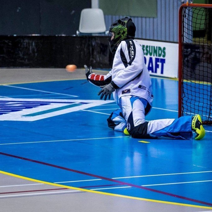 39467991_2103860922965698_5097183168742555648_o