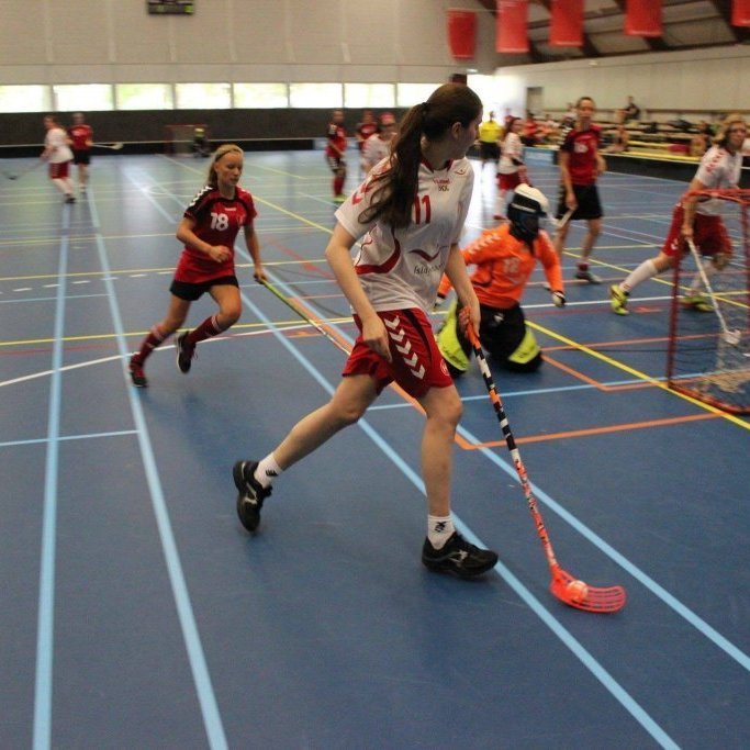 39589261_2103860862965704_1710098510881226752_o