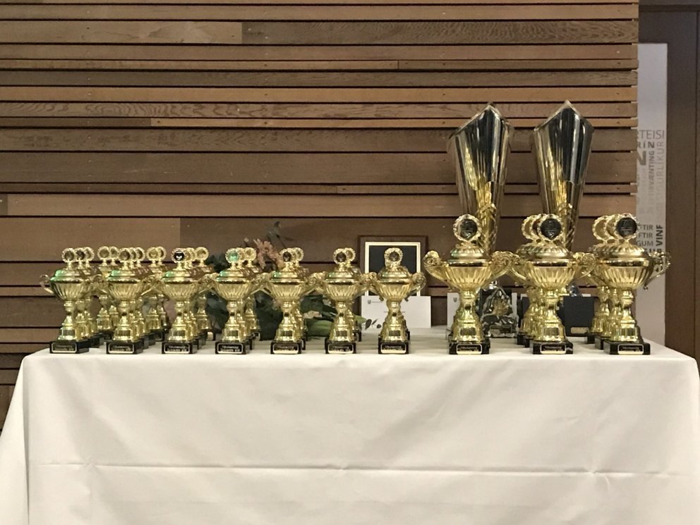 Íþróttahátíð Kópavogsbæjar streymi