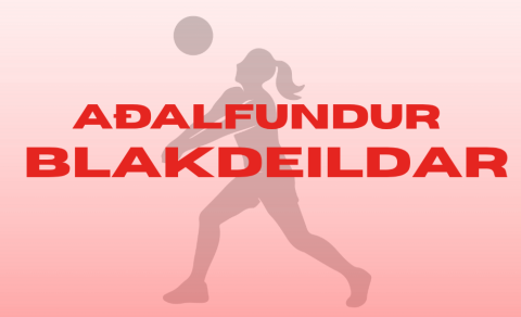 Aðalfundur Blakdeildar HK