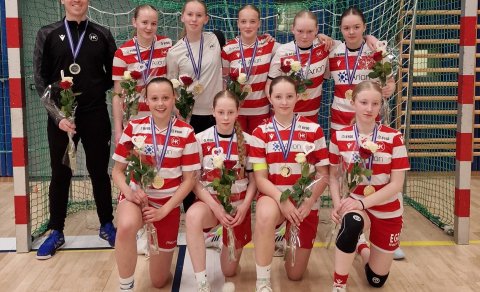 Íslandsmeistaralið eldra árs í 5. flokki kvenna