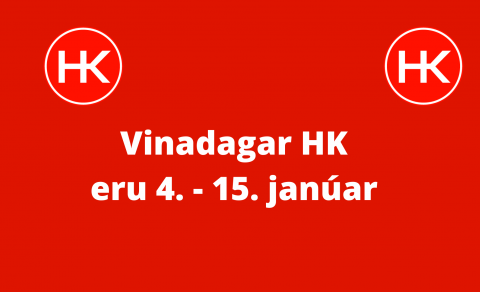 Vinadagar handknattleiksdeildar HK