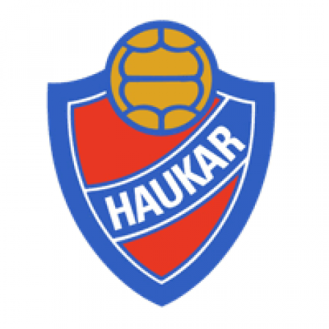 Haukar 
